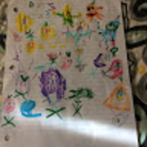 Meet your Posher, Bems